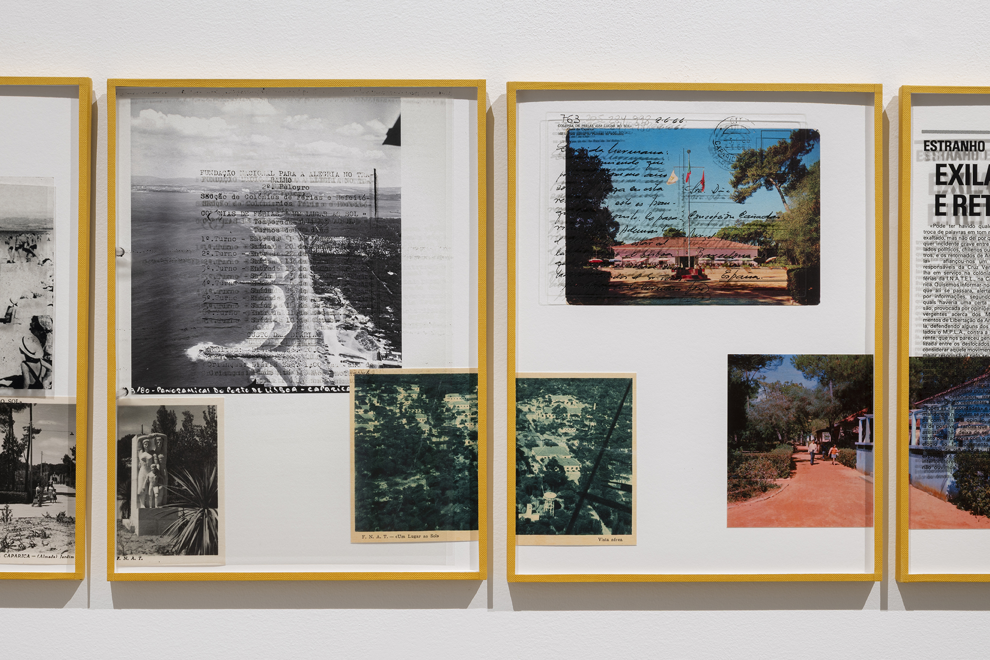 010_DSC5772